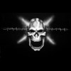 NEW ~ Barbed Skull
