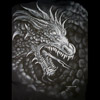 Dragon 101